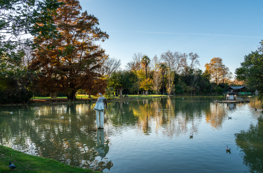 Discover the serene beauty of Parc Borély in Marseille, a sprawling green oasis perfect for relaxation and recreation. With its lush gardens, tranquil lakes, and elegant 18th-century château, Parc Borély offers a picturesque escape from the city's hustle and bustle. Enjoy leisurely strolls, picnics, and charming views in one of Marseille's most beloved parks. Plan your visit and experience the natural splendor of Parc Borély.