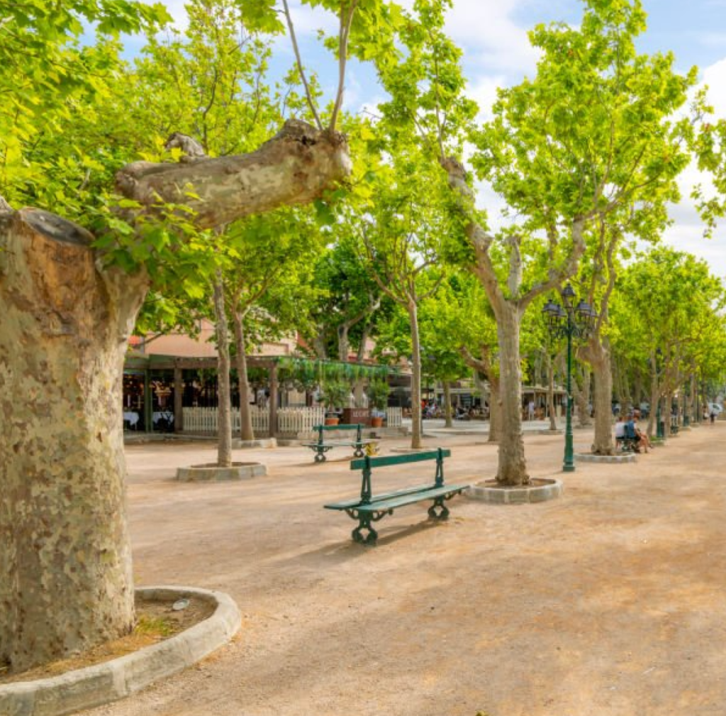 Discover the vibrant Place des Lices in St. Tropez, a bustling square known for its lively markets and charming atmosphere. Surrounded by chic cafes and boutiques, this iconic spot is perfect for enjoying leisurely strolls and people-watching. Immerse yourself in the local culture and experience the heart of St. Tropez as you explore the enchanting Place des Lices.